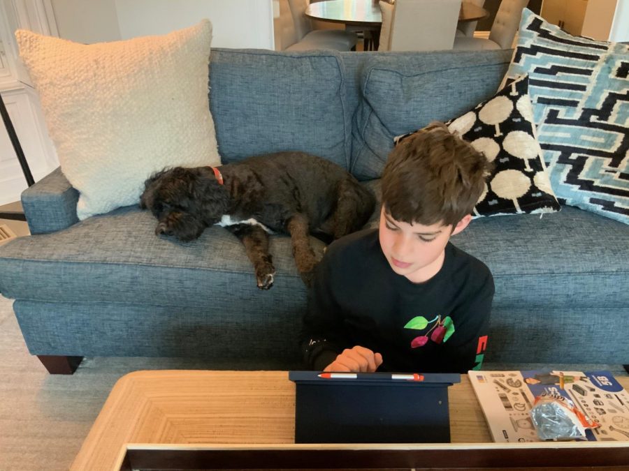 Finn Parr, a fifth-grader, dutifully completes his e-learning assignment