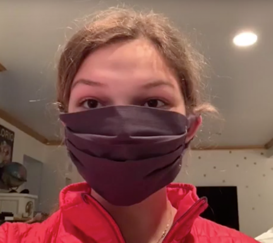 How to Make a D.I.Y. Health Mask