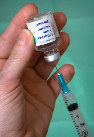 Finding the Vaccine: The Benefits and Risks of Speeding Vaccine Development
