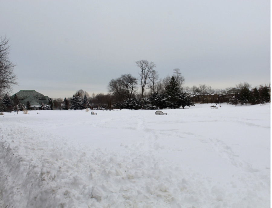 Photo Essay: Chicago Beneath the Snow
