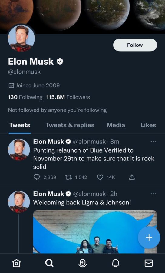 Elon+Musks+Twitter+Homepage
