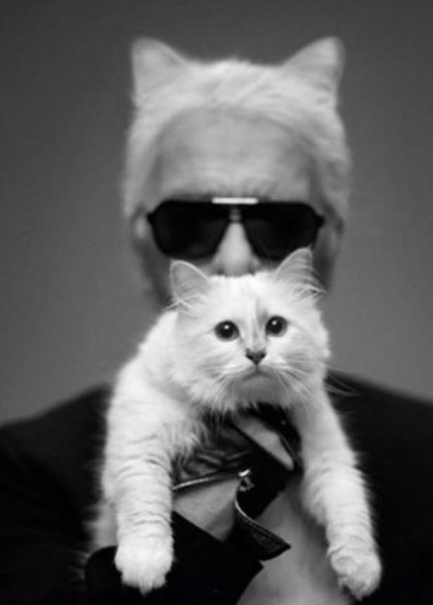 Karl+Lagerfeld+and+his+cat+Choupette