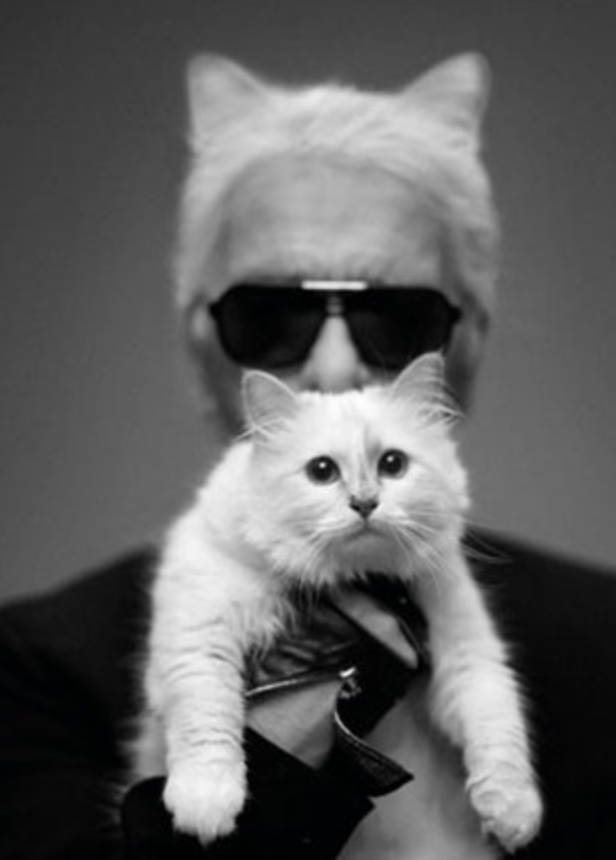 Karl Lagerfeld and his cat Choupette