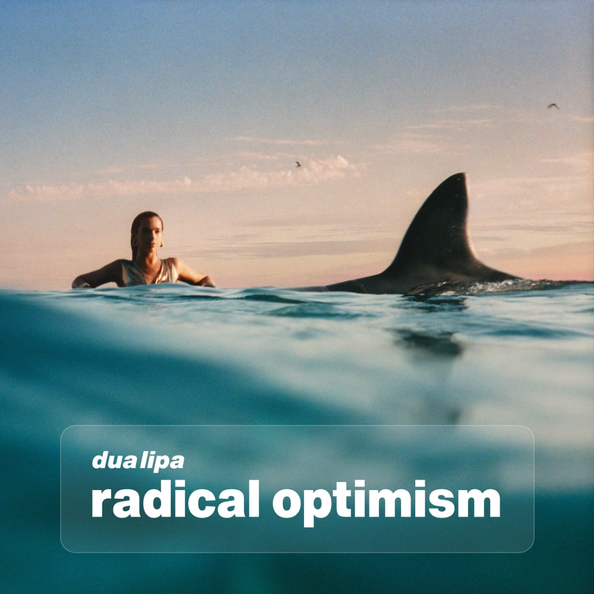 Dua Lipas new album, Radical Optimism, has received mixed reviews.
