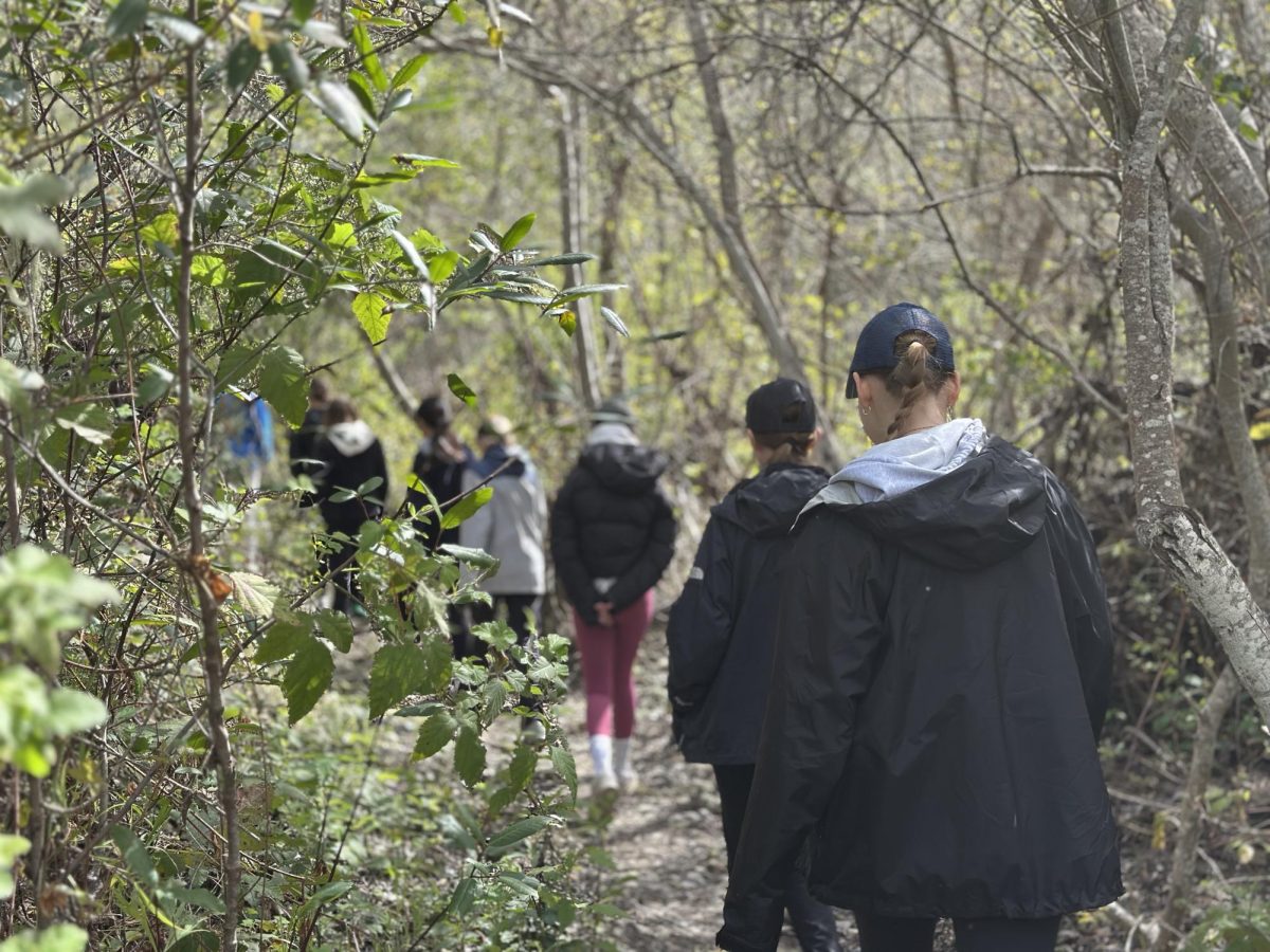 Students hike through a trail in a forest.