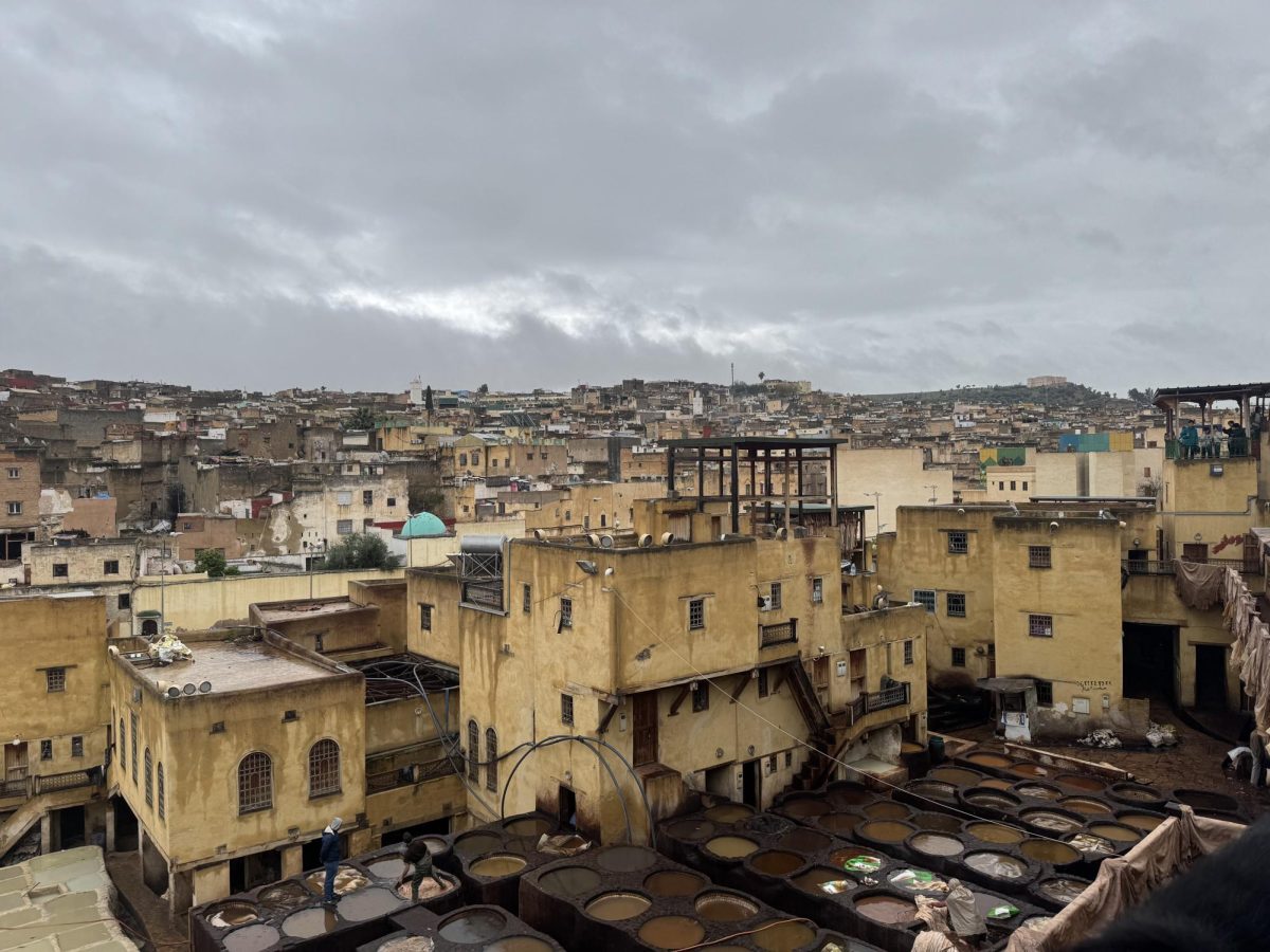 A tannery in the Moroccan city of Fez. 