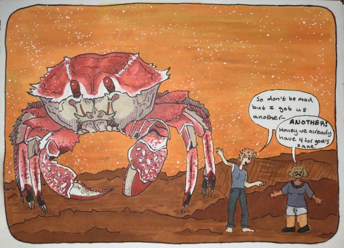 Drawing made by Allegra Cerda in her typical graphic novel style.