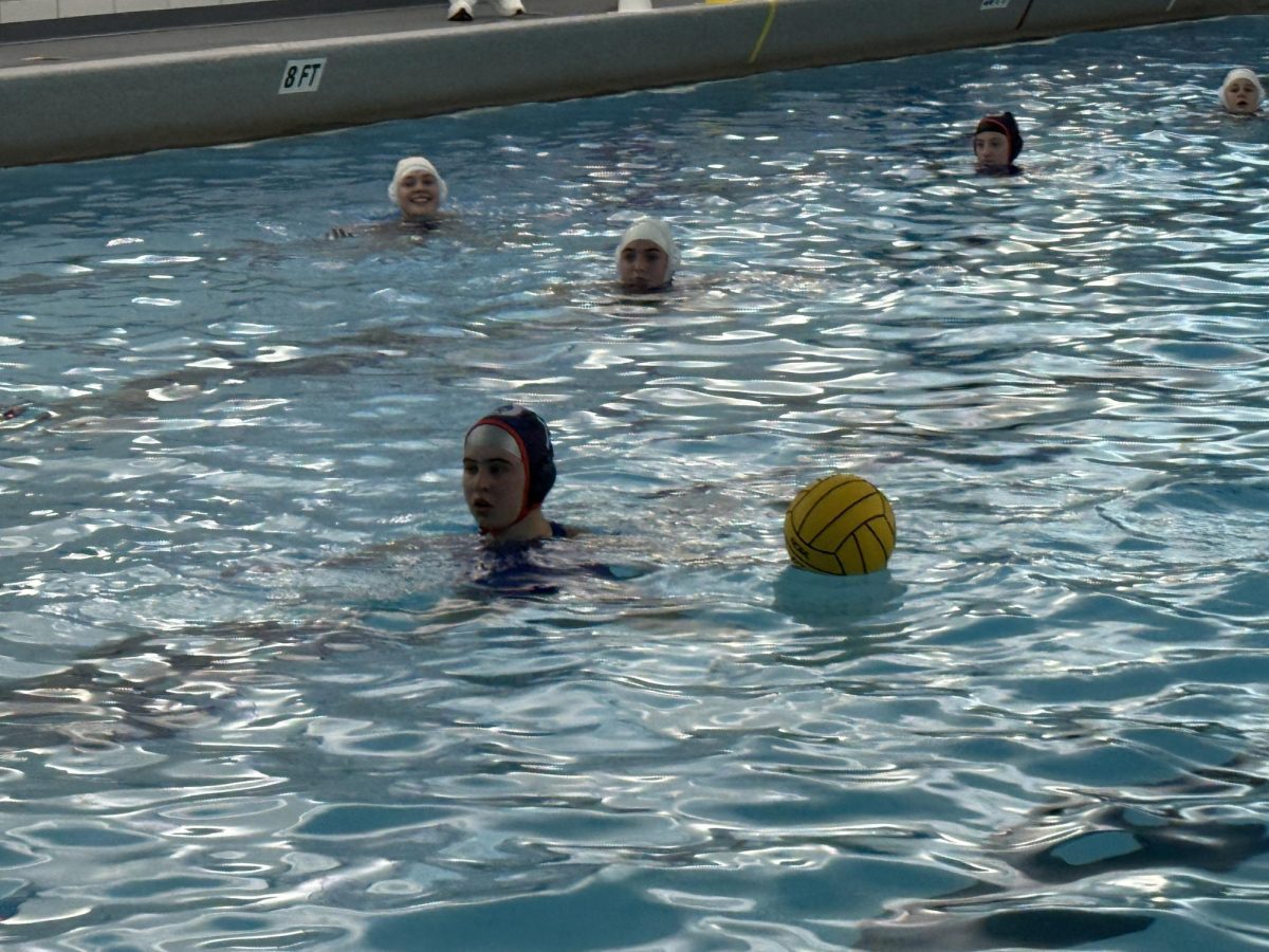 Sophia Brodsky with the ball in a water polo game.
